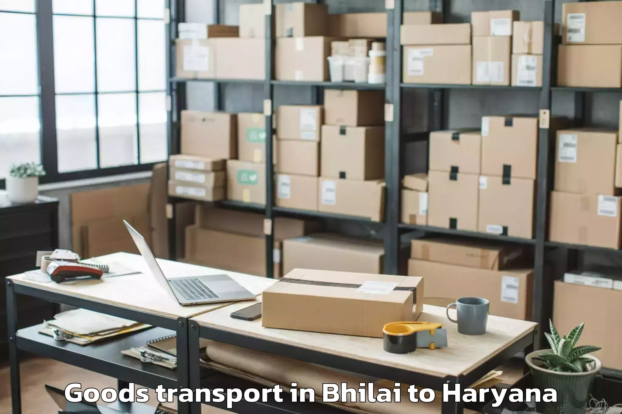 Efficient Bhilai to Pristine Mall Faridabad Goods Transport